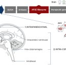 E-003 | RznOmics의 기전,RZ-003 Alzheimer’s Disease (AD)
