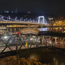 [헝가리 여행(10)] 부다페스트 야경투어 &#39;두나 크루즈&#39; 후기: 예약 방법/가격/루트/무료 음료/꿀팁 등