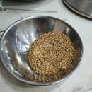 수수보리아카데미 | [맥주/후기] 수수보리아카데미 <비어파운데이션(Beer Foundation) 5~8일차 수료