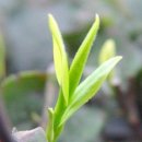 무역로-2 이미지