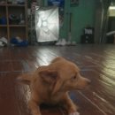 상우복싱체육관 이미지