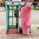 UI 정보통신 | 2025년 2회 정보처리산업기사 실기 떨어진 후기💦