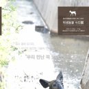 서울시야생동물센터 이미지