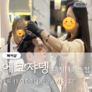 에코필라테스3호점(금릉점) | 대치역 미용실 남자헤어펌 강남 머리잘하는곳 에코쟈뎅 추천
