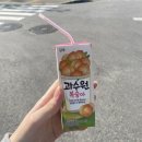 베베럽뷰티 이미지