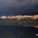 청양군백세공원 이미지