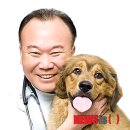 윤신근박사동물병원 이미지