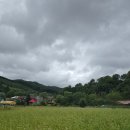 강원도 평창여행 2024 봉평 메밀 축제 다녀온 후기
