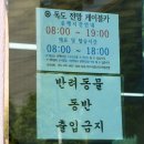 독도주차장 이미지