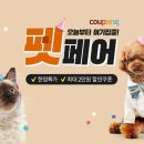 펫# 이미지