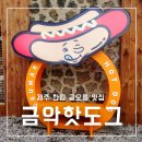 금악핫도그 | 제주 한림 금오름 맛집 금악핫도그 흑돼지 소시지 후기
