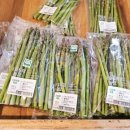 행복한 한우 이미지