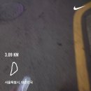 샘터미용실 | 열심히 그리고 다양히