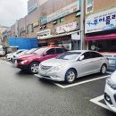 사파동101 이미지