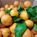 한정농장 이미지