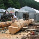 추어마을 이미지