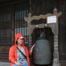 합덕초교 이미지