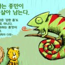 카멜레온 이미지