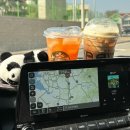 24년 3월 JEJU [1]_핀아플라워,제주미친흑돈,명월성돌담집