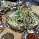 파이레더 | 3월 일기
