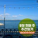 꼬동게스트하우스 | 2025년 9월 첫째 주 주간일기