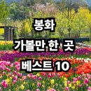 낙동정맥트레일(1코스-금강송숲길) | 경북 봉화 가볼만한곳 베스트10 - 자연과 전통이 살아 숨 쉬는 힐링 여행지