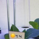 제프웰니스센터 이미지