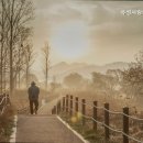 유성사랑나무