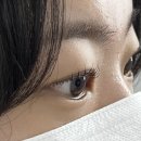 커스텀아카데미 | 모어라인&커스텀브로우 아카데미 속눈썹펌 받은 후기