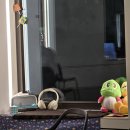 천아트:꽃으로 물들이다 | 입체낭독극 나와비경 후기 @부암아트 (루프탑)