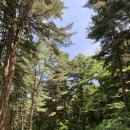 숲속빨간벽돌집 이미지