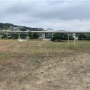 옥산초소로분교 이미지