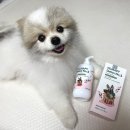 올리라피 | 예민해진 강아지 피부 좋은 성분 순한 강아지샴푸,올리라피 강아지 샴푸 후기