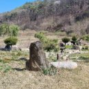 하늘빛소나무펜션 이미지