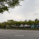 부여군선거관리위원회 화장실 | 또감기엔딩