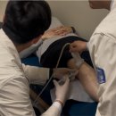 만능 이미지