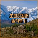 해피홈 | 유한양행 해피홈 무향 살충제, 초파리 퇴치 효과 있을까? 솔직 후기