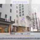 서울여행 필수코스! 호텔 파크하비오 서울 호텔추천 &amp; 솔직후기