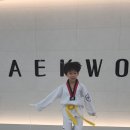 드림하이태권도장 이미지