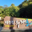대천천누리길 화장실 이미지