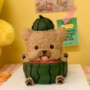 벌스데이레오 이미지