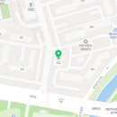 댄디하개 이미지