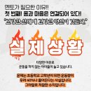 멘토 태권도 하는 아이들 이미지