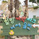 비체올린 이미지