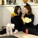 모두의 쇼핑친구