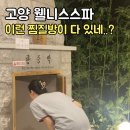 서울 근교 찜질방 고양 웰니스스파 파노라마 뷰 찢었다