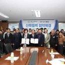 보루네오가구 이미지