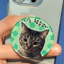 행운냥이 이미지