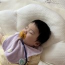 7개월부터 사용하는 유아용 라비킷옆잠베개에서 꿀잠