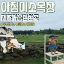 미소-가 | 제주 아이와 꼭 가볼 곳 아침미소목장 추천 후기